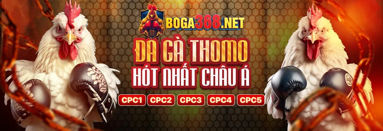 Tổng quan các môn thể thao tại EV888